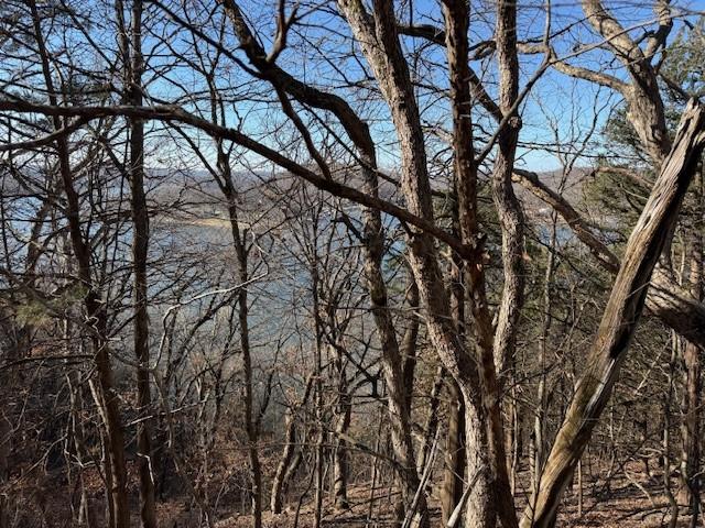 Chimney Rock Road Camdenton, MO 65020 - Photo 3 of 21