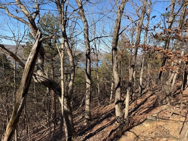 Chimney Rock Road Camdenton, MO 65020 - Photo 4 of 21