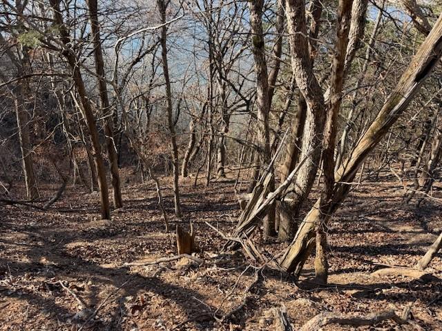 Chimney Rock Road Camdenton, MO 65020 - Photo 5 of 21