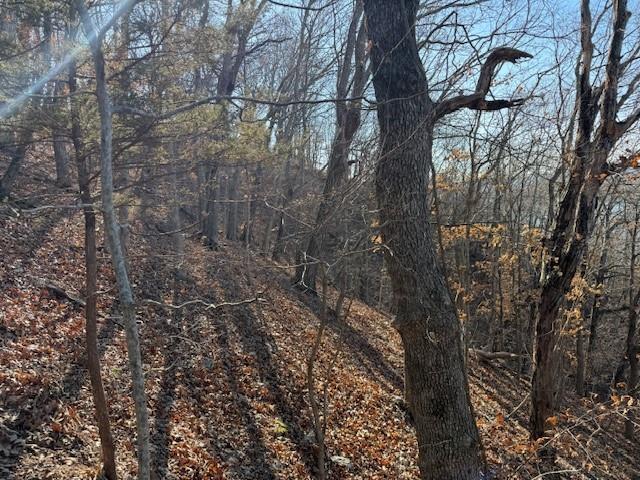 Chimney Rock Road Camdenton, MO 65020 - Photo 6 of 21