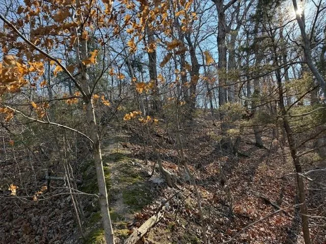 $425,000 | Chimney Rock Road, Camdenton, MO 65020