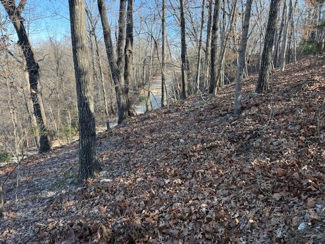 Chimney Rock Road Camdenton, MO 65020 - Photo 9 of 21