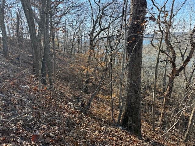 Chimney Rock Road Camdenton, MO 65020 - Photo 10 of 21