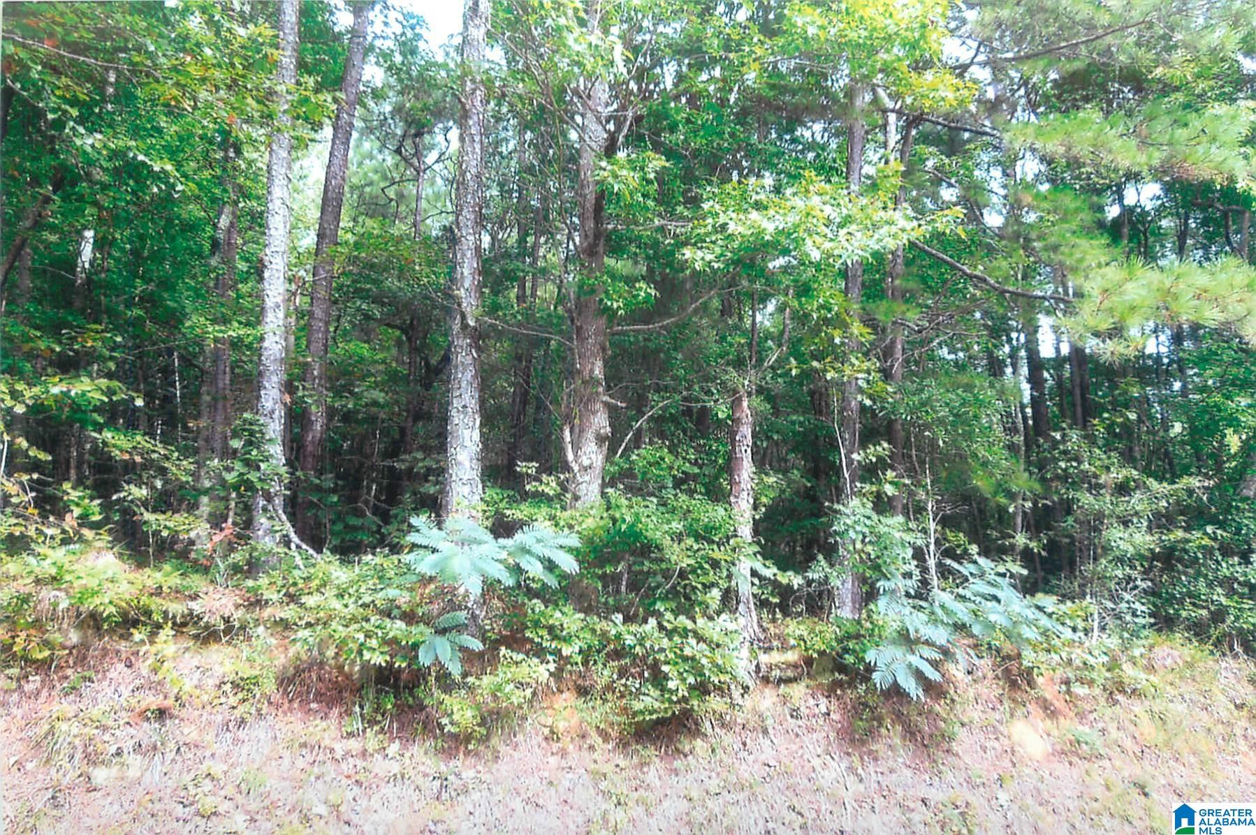 0 Dry Creek Road, Unit 15 ACRES Pell City, AL 35128 - Photo 1 of 2