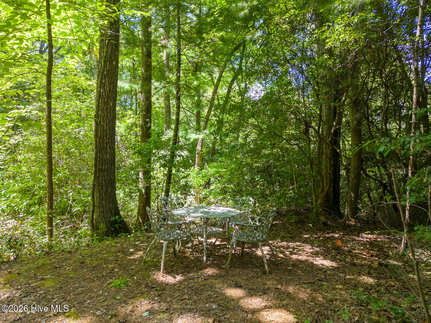 314 Carringer Road Robbinsville, NC 28771 - Photo 44 of 46 Gallery Image 44