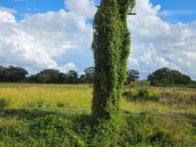 $159,900 | 1132 Northeast 48th Avenue, Okeechobee, FL 34972