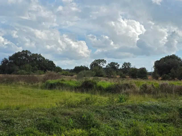 $159,900 | 1132 Northeast 48th Avenue, Okeechobee, FL 34972