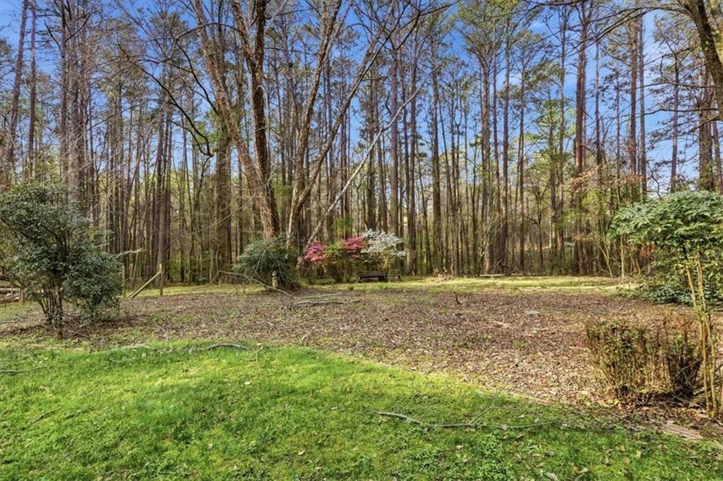 3197 Spring Lake Drive Northeast Conyers, GA 30013 - Photo 39 of 43
