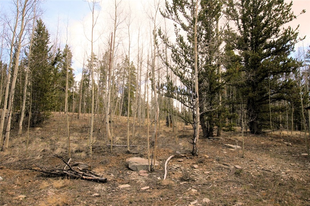 258 Co 665 Road Fairplay, CO 80440 - Photo 9 of 25 Gallery Image 9