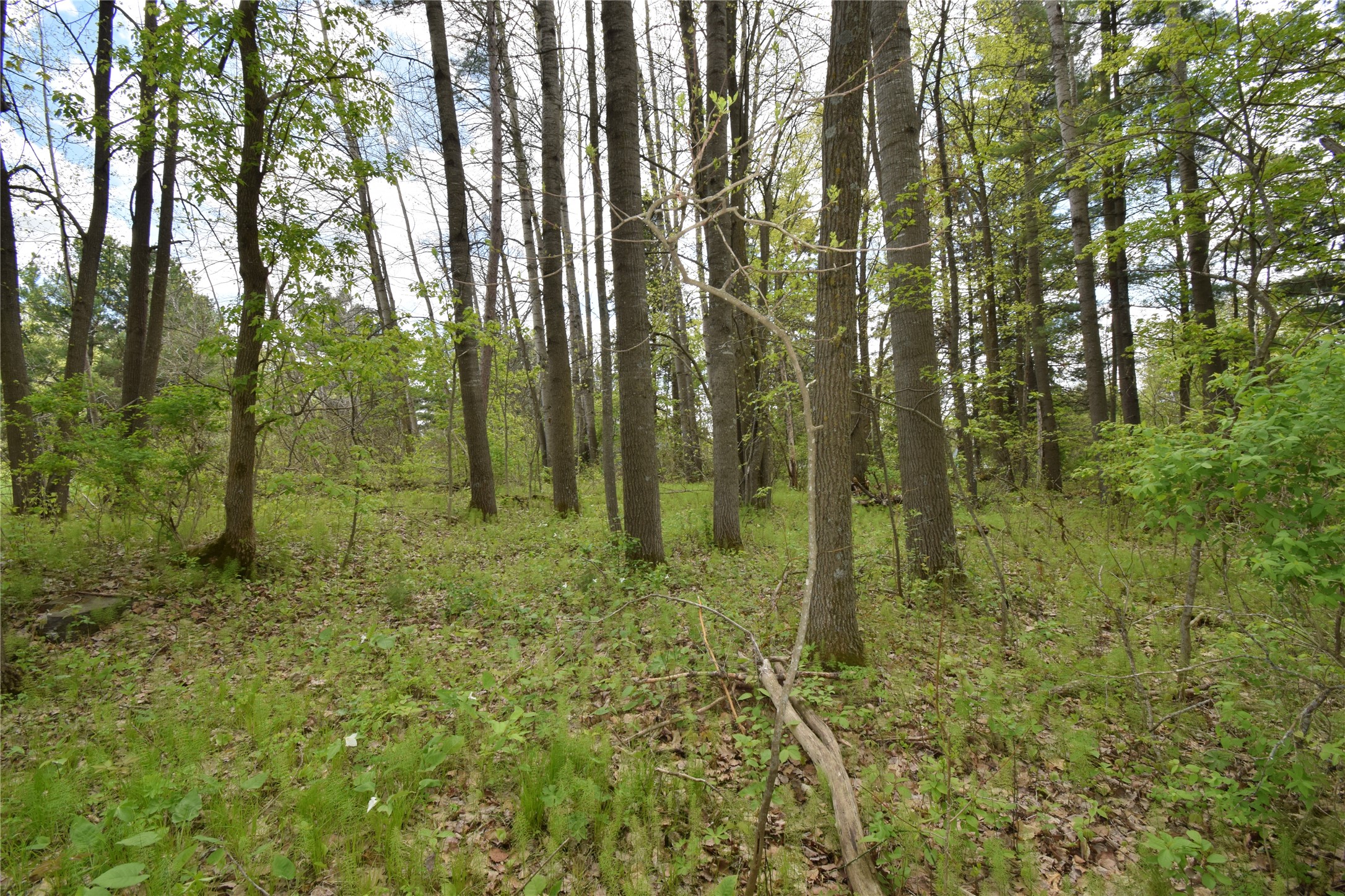 3346 65th Street Frederic, WI 54837 - Photo 47 of 52