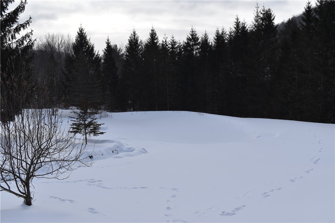 428 Basin Clove Road Hamden, NY 13782 - Photo 25 of 47