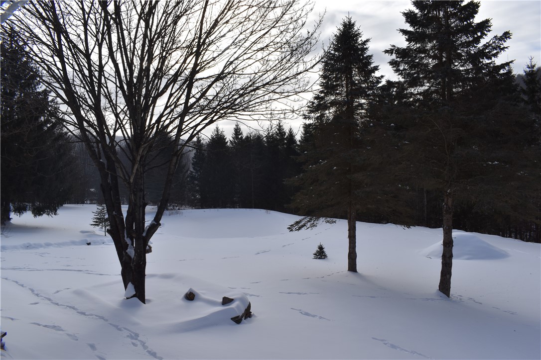 428 Basin Clove Road Hamden, NY 13782 - Photo 27 of 47