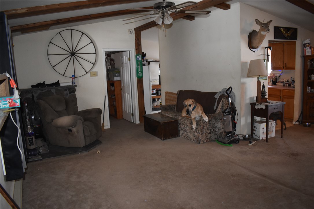 428 Basin Clove Road Hamden, NY 13782 - Photo 9 of 47