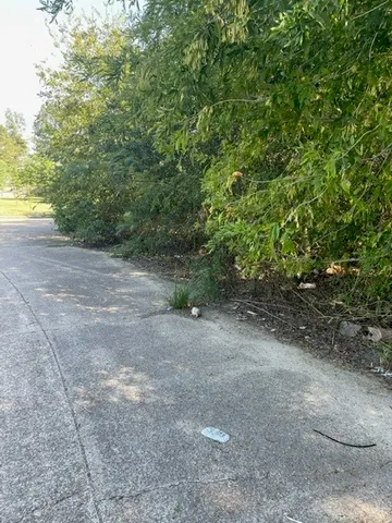 a view of a dirt road with trees in the background