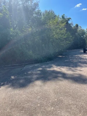 a view of a backyard of a house