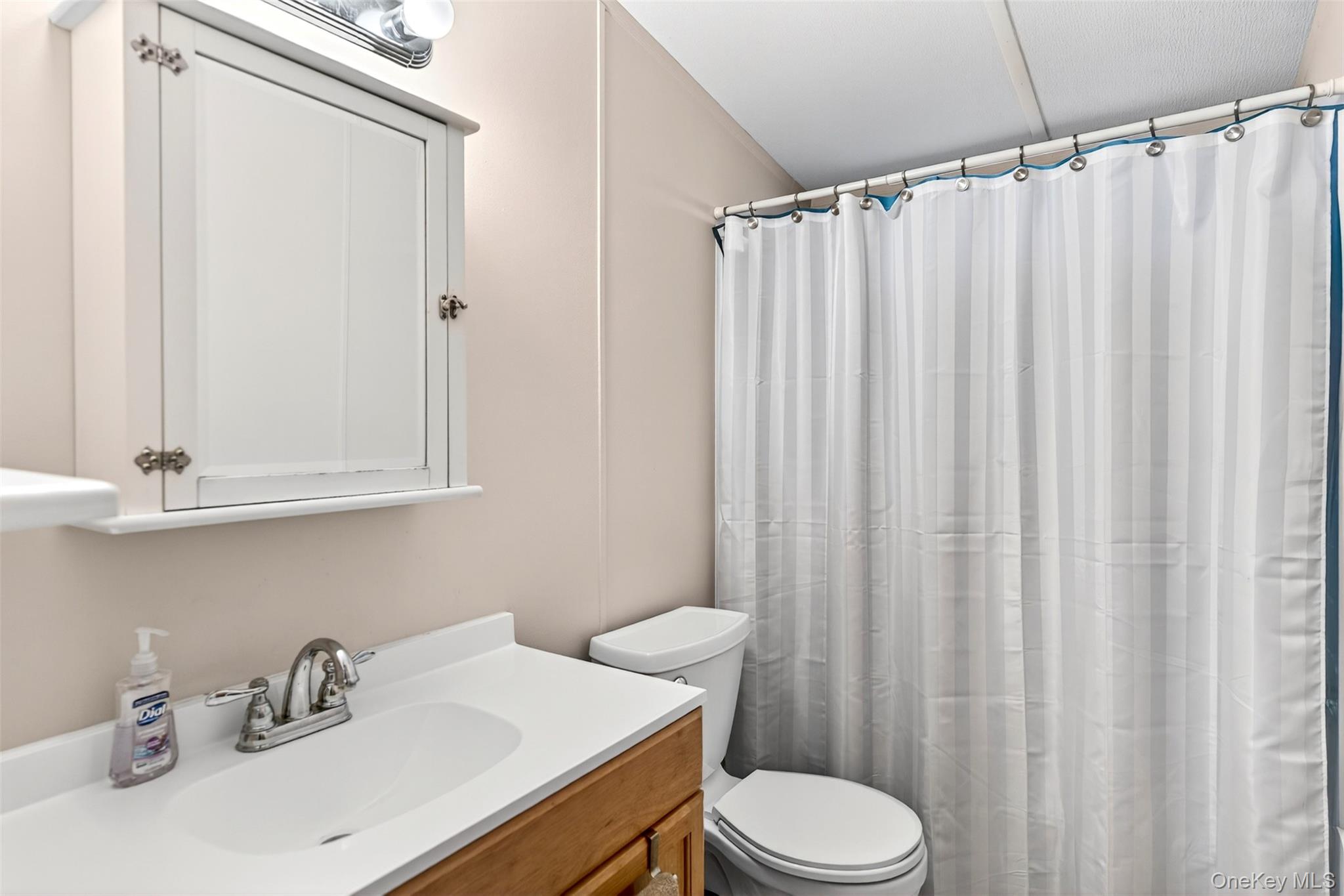 448 Sand Hill Road Gardiner, NY 12525 - Photo 20 of 29 a bathroom with a sink a toilet and shower curtain