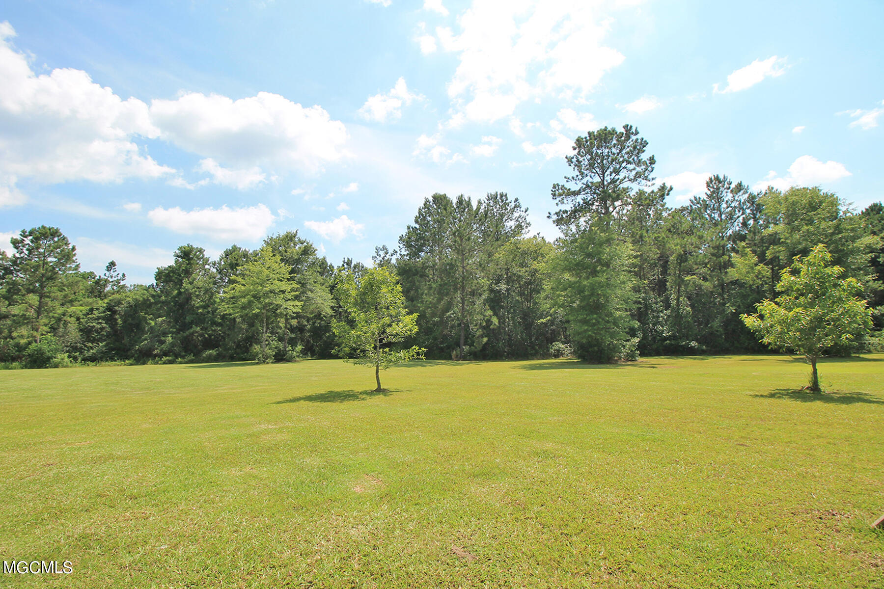 223 Jodie Baxter Road Lucedale, MS 39452 - Photo 38 of 56 7 (3)
