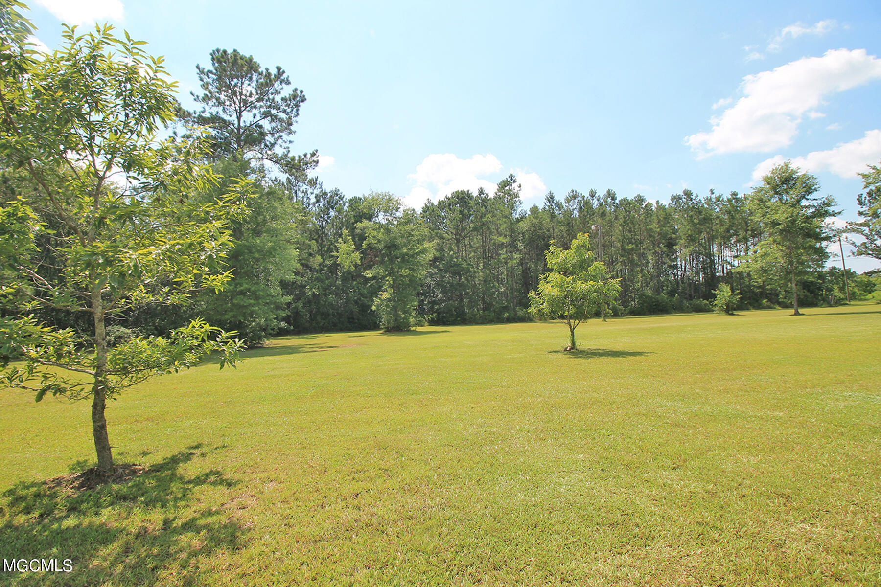 223 Jodie Baxter Road Lucedale, MS 39452 - Photo 40 of 56 7 (5)