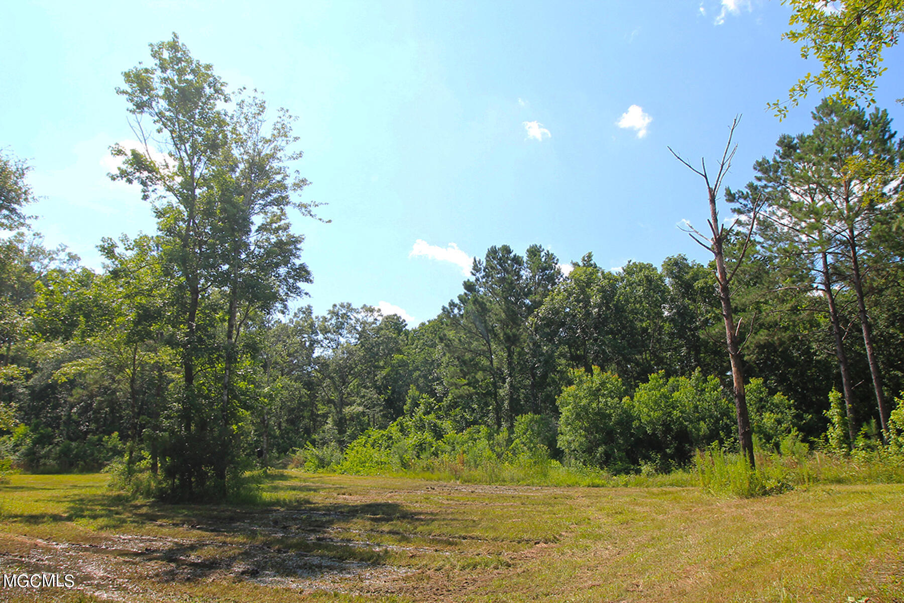 223 Jodie Baxter Road Lucedale, MS 39452 - Photo 45 of 56 7 (1)