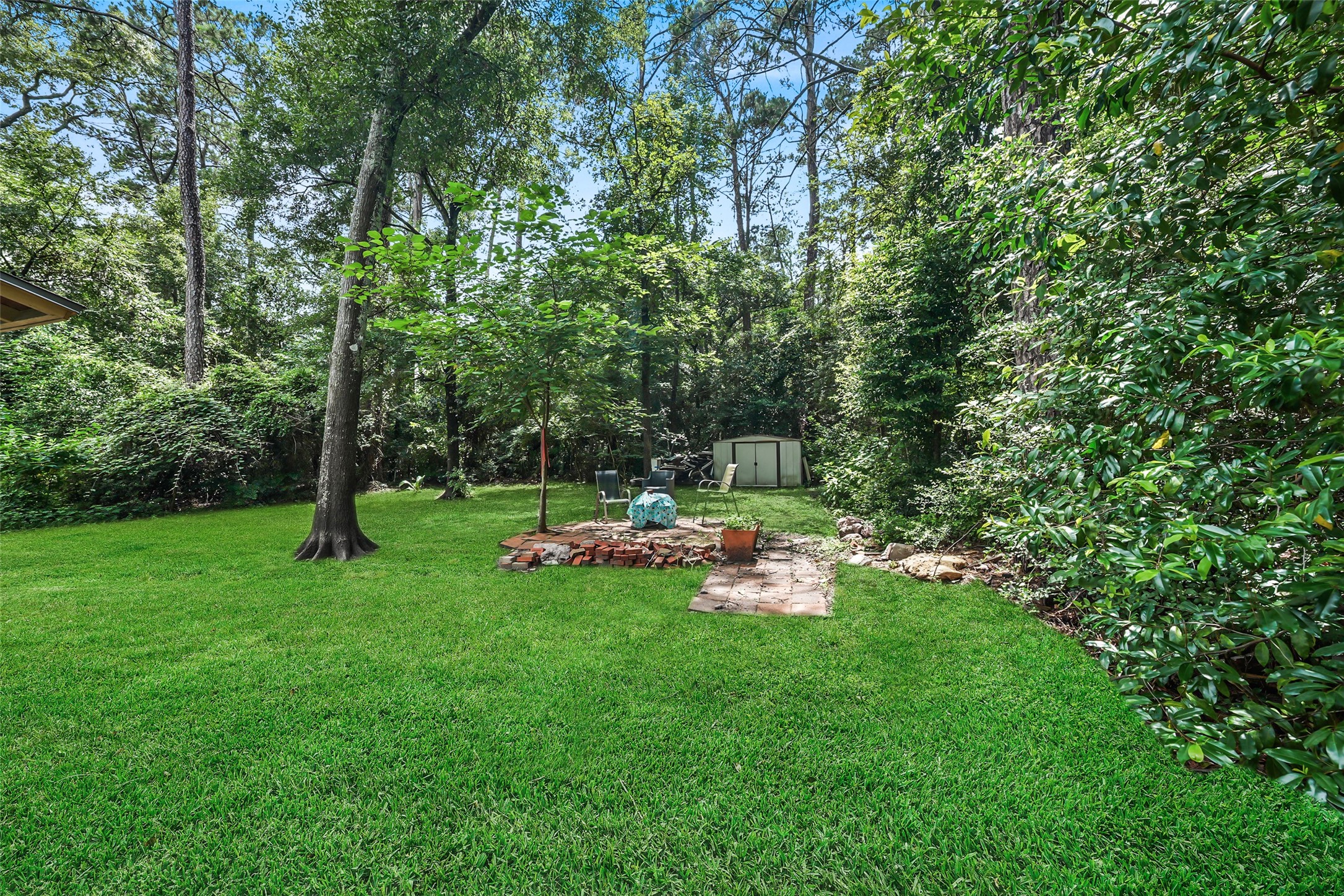 6387 Oak Knoll Road Montgomery, TX 77316 - Photo 4 of 30 a view of backyard with trees and wooden fence