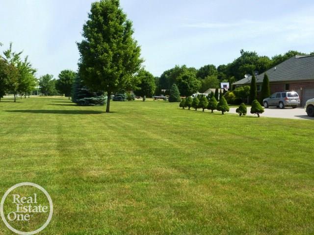8857 Bordman Road Almont, MI 48003 - Photo 36 of 43 31294762-35.JPG