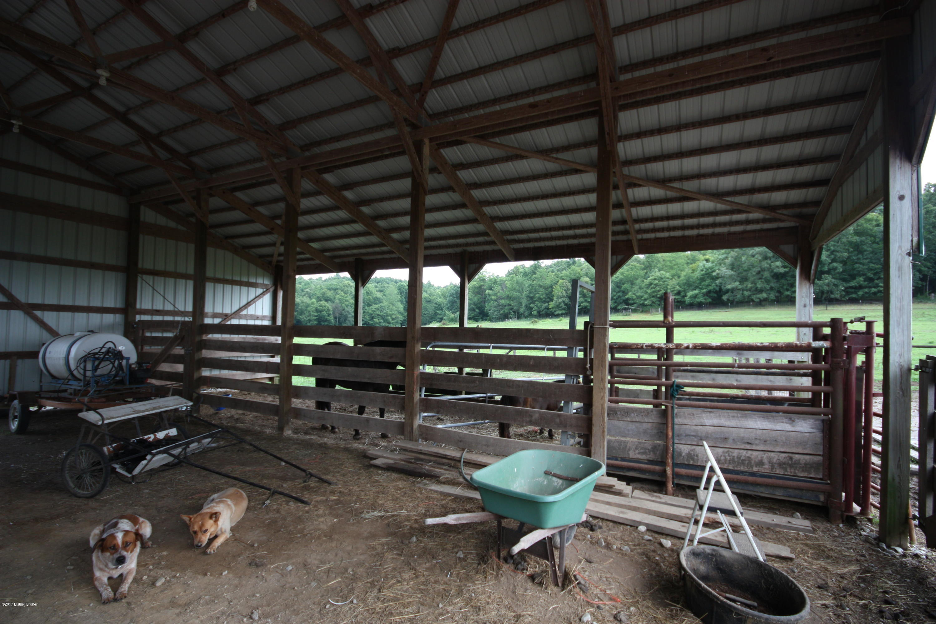 2207 Rabbit Flat Road Caneyville, KY 42721 - Photo 20 of 34 IMG_9950
