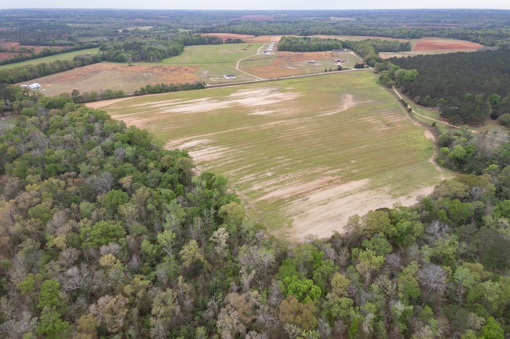 0 Singletary Road Slocomb, AL 36375 - Photo 5 of 5