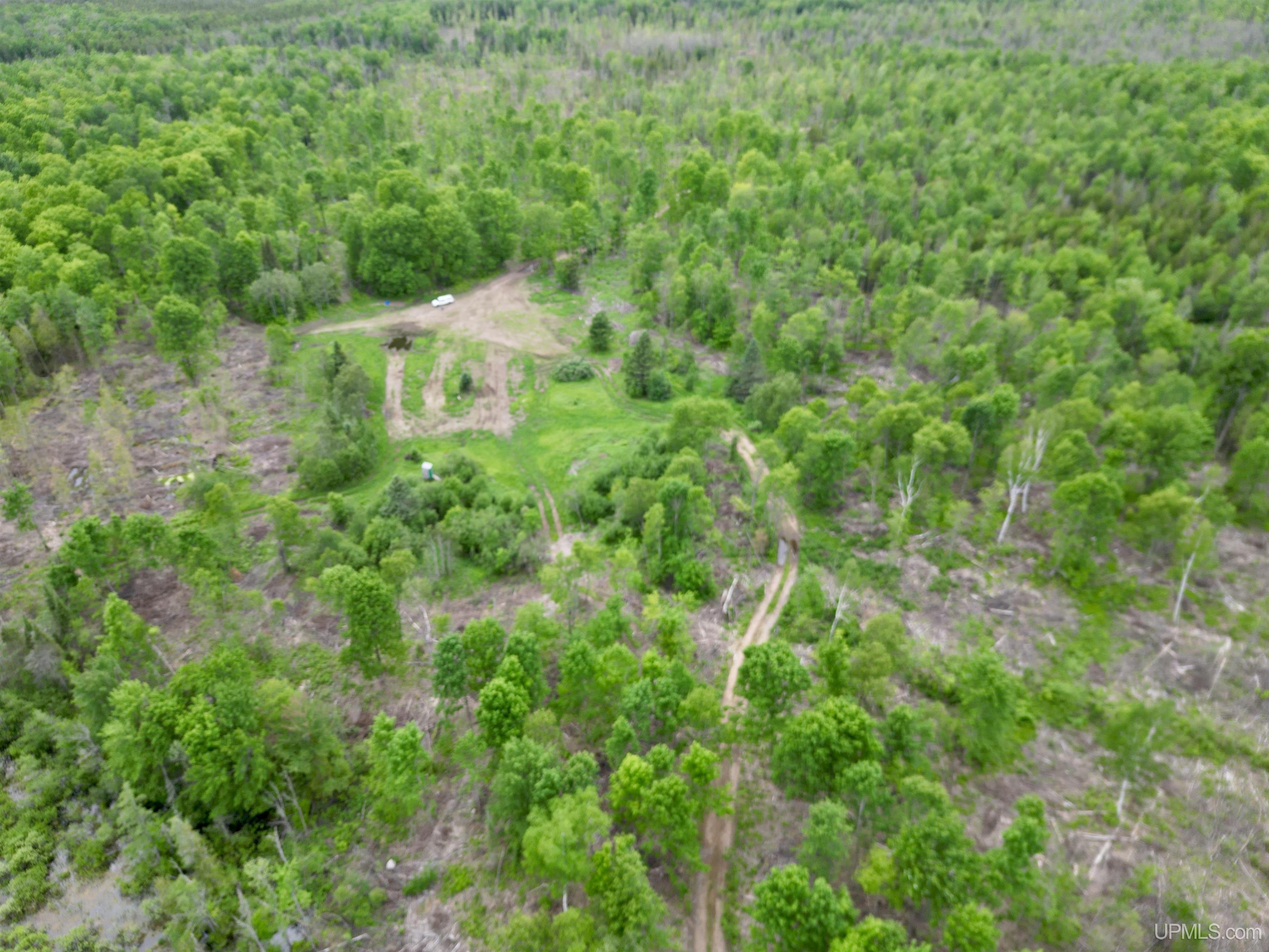 3601 Cr444 Road Rock, MI 49880 - Photo 57 of 78