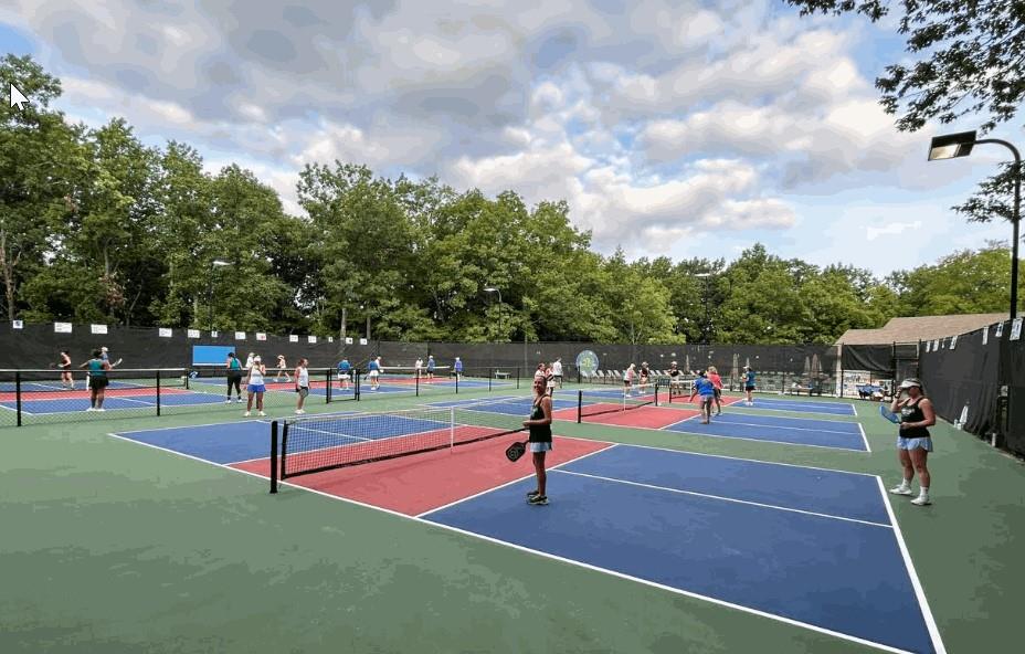 17 Denny Ridge Road Jasper, GA 30143 - Photo 11 of 19 a view of a basketball court