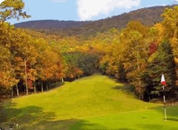 17 Denny Ridge Road Jasper, GA 30143 - Photo 15 of 19