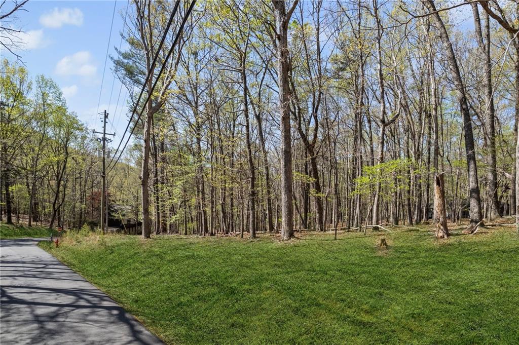 17 Denny Ridge Road Jasper, GA 30143 - Photo 3 of 19 a view of park