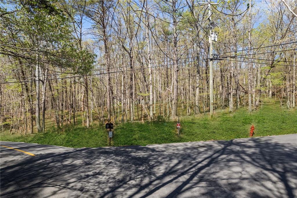 17 Denny Ridge Road Jasper, GA 30143 - Photo 4 of 19 a backyard of a house with lots of green space