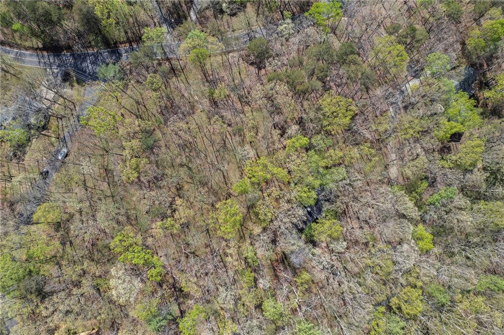 17 Denny Ridge Road Jasper, GA 30143 - Photo 5 of 19 a view of a dry yard with green space