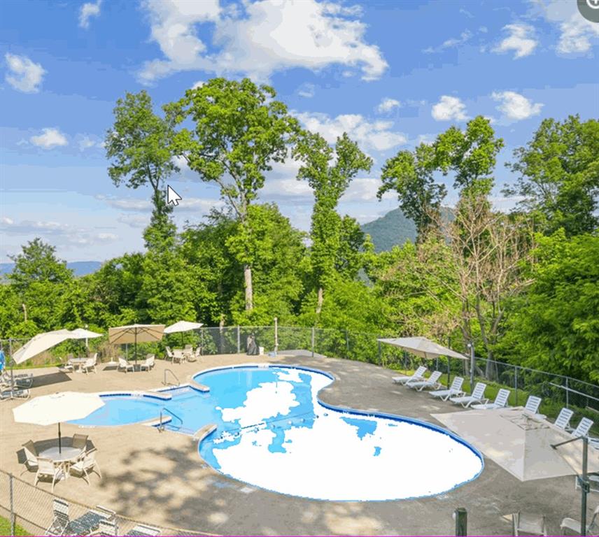 17 Denny Ridge Road Jasper, GA 30143 - Photo 10 of 19 a swimming pool with trees in the background