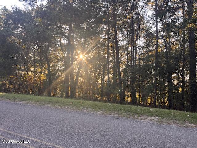 Sugar Hill Road Shubuta, MS 39360 - Photo 7 of 11 Prop sun light 1_9504