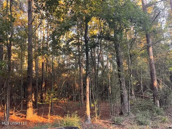 $16,400 | Sugar Hill Road, Shubuta, MS 39360
