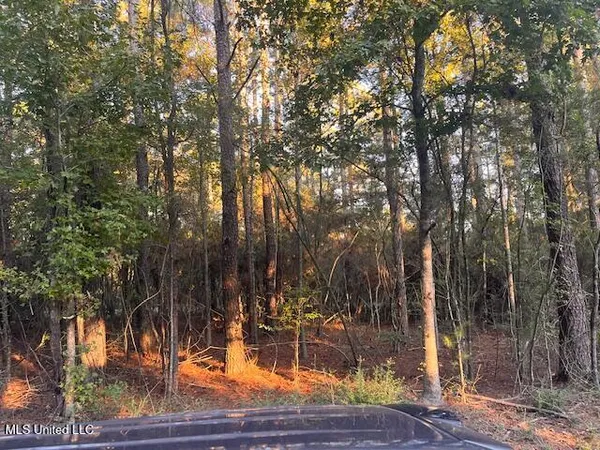 $16,400 | Sugar Hill Road, Shubuta, MS 39360