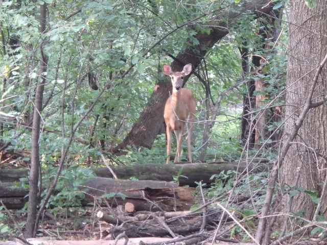$415,000 | 15320 Highwood Drive, Minnetonka, MN 55345