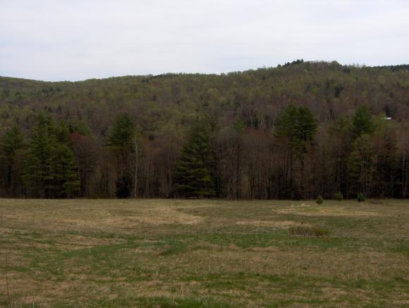 2584 Halfway Brook Road Brookfield, VT 05036 - Photo 20 of 25