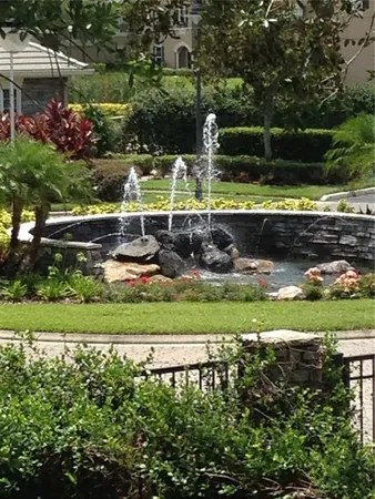 a view of a park with large trees