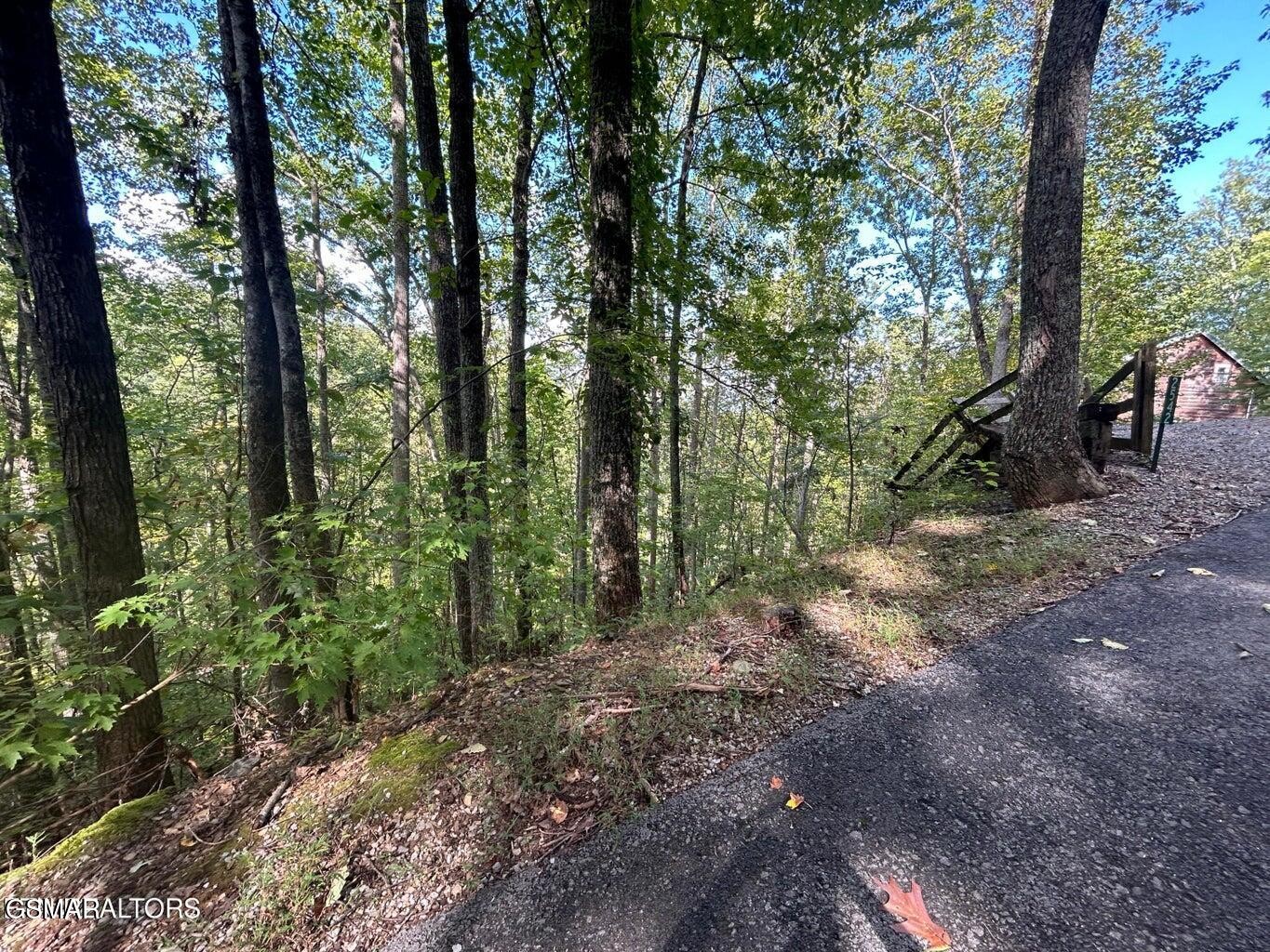 9 Wildcat Ridge Road Sevierville, TN 37862 - Photo 5 of 14 Gallery Image 5