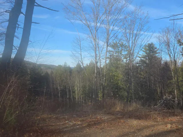 $170,000 | 0 Will Dean Road, Springfield, VT 05156