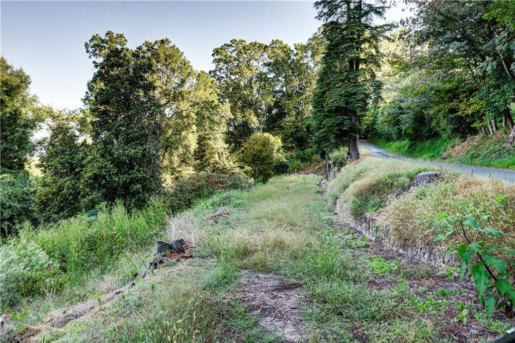 110 Boston Road Calhoun, GA 30701 - Photo 4 of 12 a view of a lush green forest with lots of trees