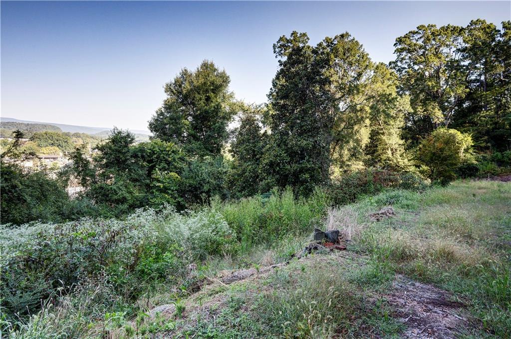 110 Boston Road Calhoun, GA 30701 - Photo 5 of 12 a view of a lush green forest with lots of trees