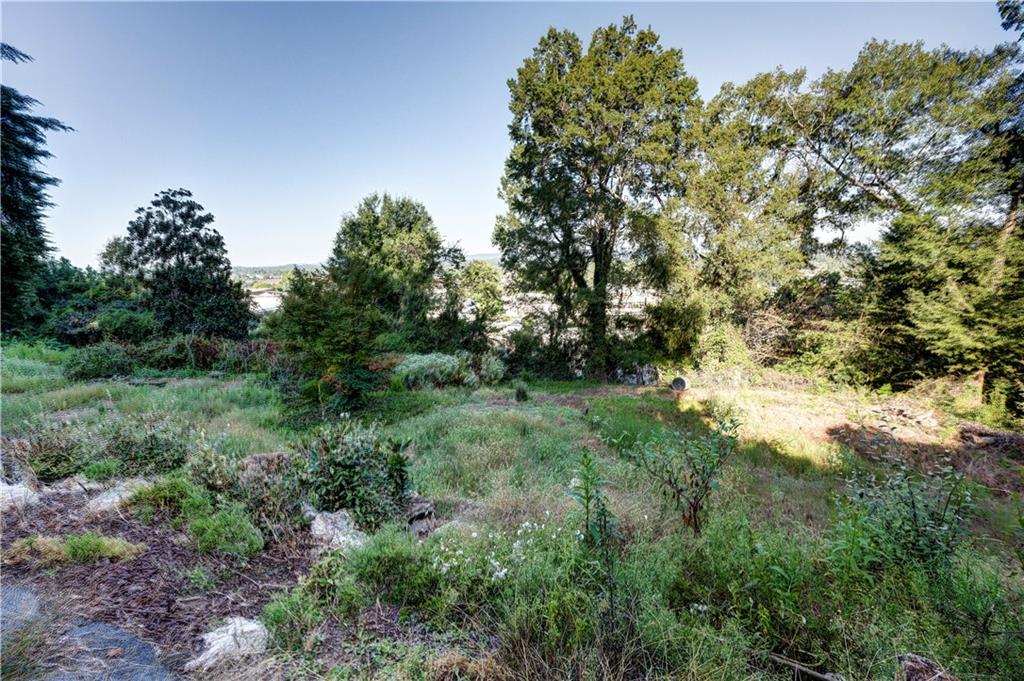 110 Boston Road Calhoun, GA 30701 - Photo 7 of 12 a view of a lush green forest with lawn chairs
