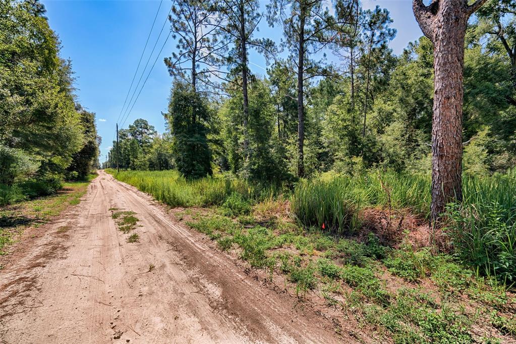 Tbd Northeast 82nd Place Bronson, FL 32621 - Photo 2 of 3