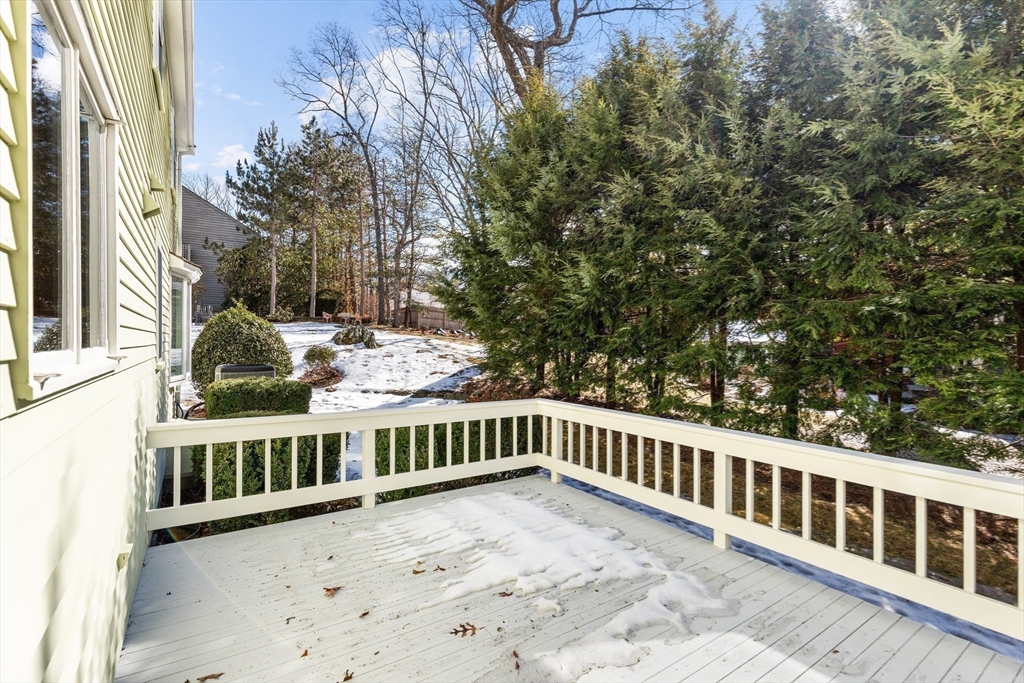 76 Birch Hill Road Belmont, MA 02478 - Photo 31 of 33 Gallery Image 31