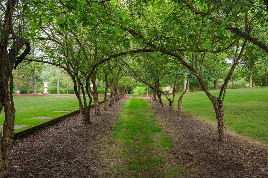898 Persimmon Road Sewickley, PA 15143 - Photo 48 of 50 A graceful allée of mature, arching trees creates a natural tunnel, leading the eye toward the lush lawn and classical garden urns beyond.