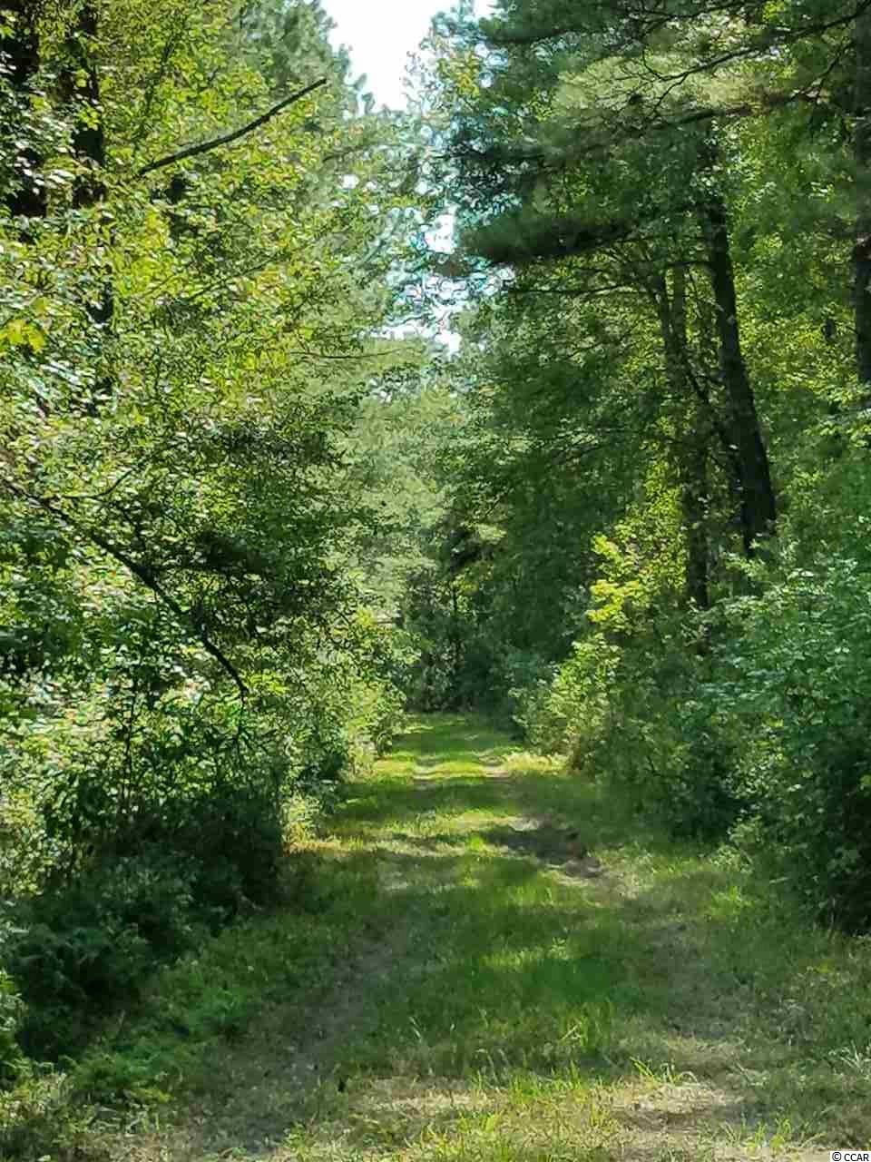 3000 Creek Road Lake City, SC 29560 - Photo 3 of 5 Gallery Image 3