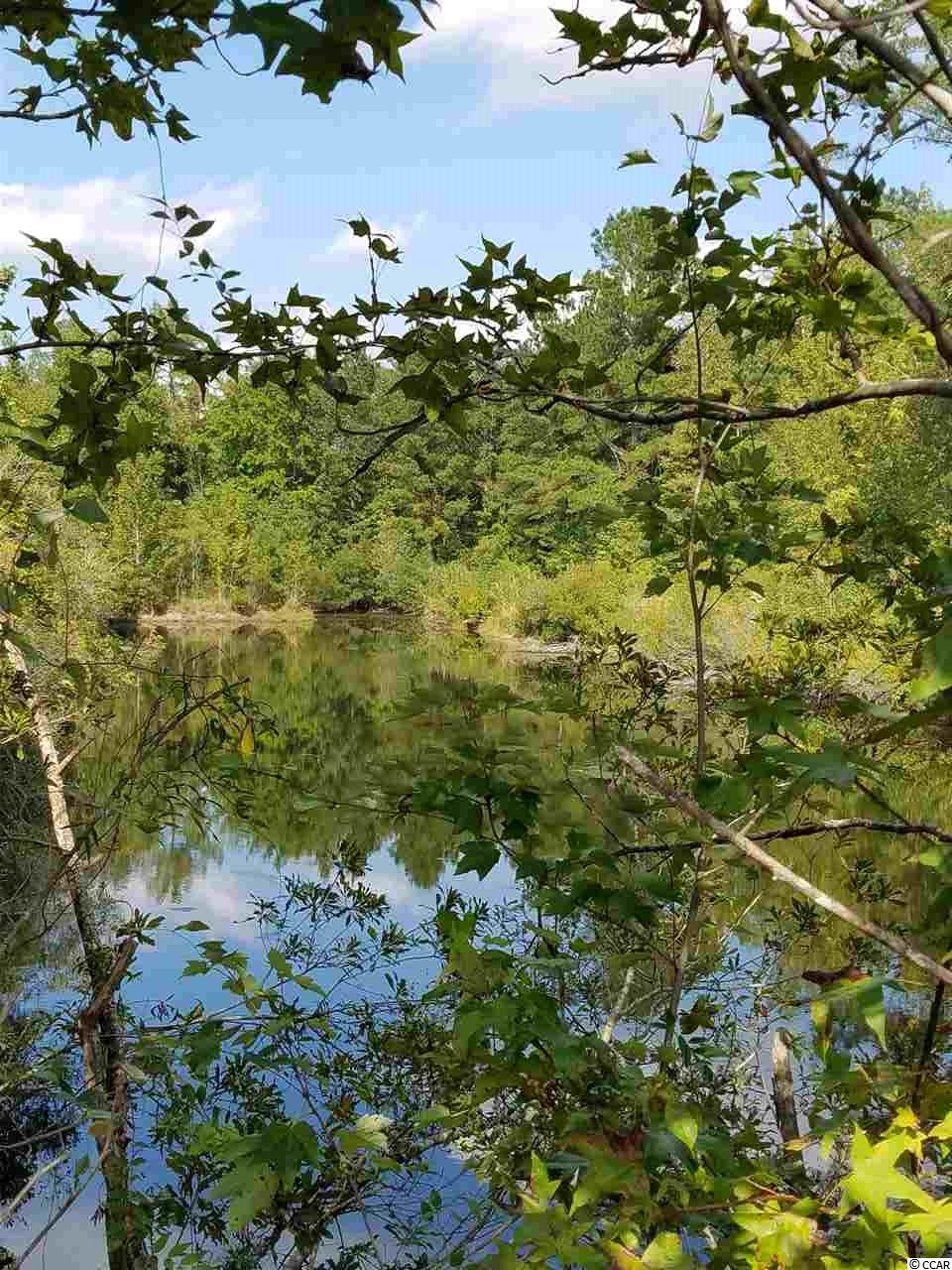 3000 Creek Road Lake City, SC 29560 - Photo 5 of 5 Gallery Image 5
